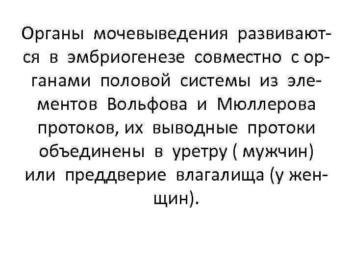 Органы мочевыведения развиваются в эмбриогенезе совместно с органами половой системы из элементов Вольфова и