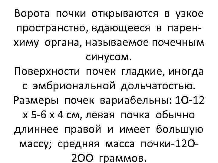 Ворота почки открываются в узкое пространство, вдающееся в паренхиму органа, называемое почечным синусом. Поверхности