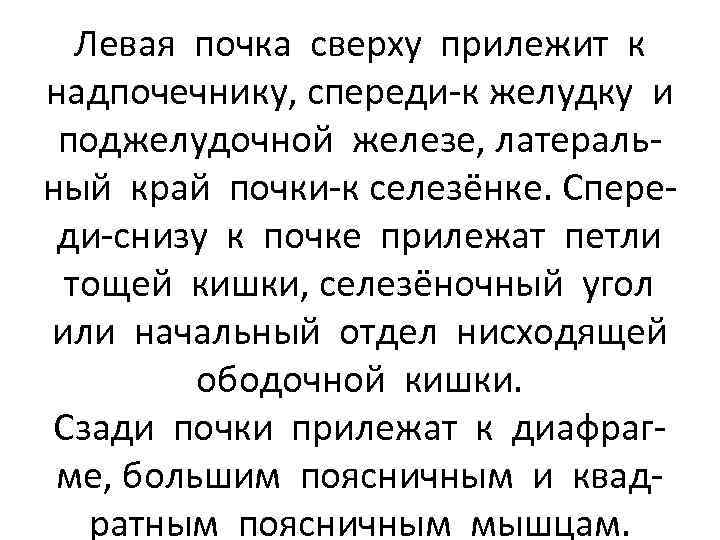 Левая почка сверху прилежит к надпочечнику, спереди-к желудку и поджелудочной железе, латеральный край почки-к