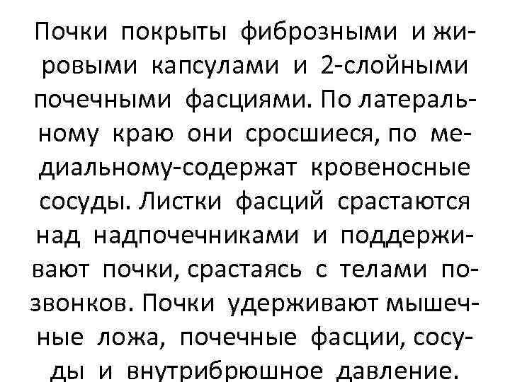 Почки покрыты фиброзными и жировыми капсулами и 2 -слойными почечными фасциями. По латеральному краю