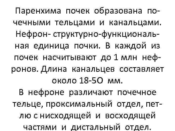 Паренхима почек образована почечными тельцами и канальцами. Нефрон- структурно-функциональная единица почки. В каждой из