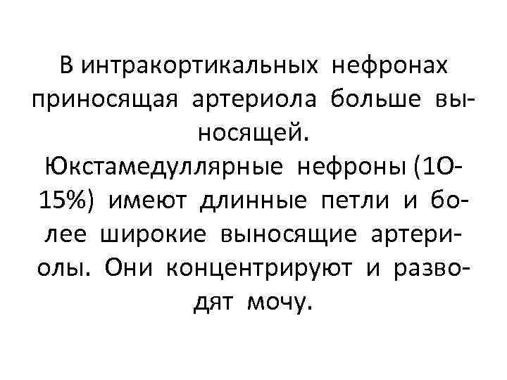 В интракортикальных нефронах приносящая артериола больше выносящей. Юкстамедуллярные нефроны (1 О 15%) имеют длинные