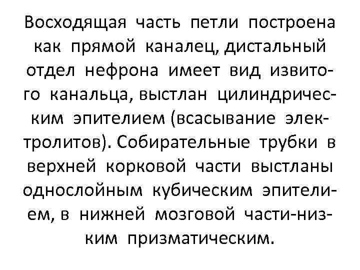 Восходящая часть петли построена как прямой каналец, дистальный отдел нефрона имеет вид извитого канальца,