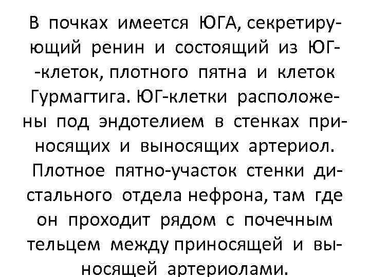 В почках имеется ЮГА, секретирующий ренин и состоящий из ЮГ-клеток, плотного пятна и клеток