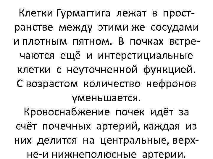 Клетки Гурмагтига лежат в пространстве между этими же сосудами и плотным пятном. В почках