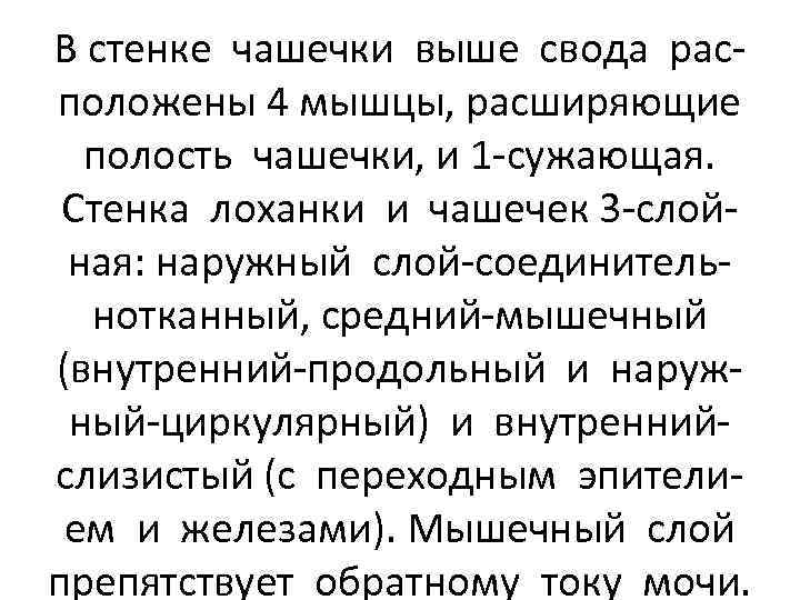 В стенке чашечки выше свода расположены 4 мышцы, расширяющие полость чашечки, и 1 -сужающая.