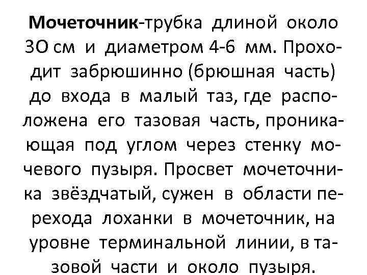 Мочеточник-трубка длиной около 3 О см и диаметром 4 -6 мм. Проходит забрюшинно (брюшная