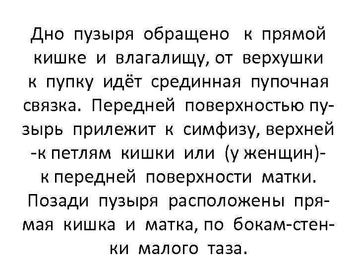 Дно пузыря обращено к прямой кишке и влагалищу, от верхушки к пупку идёт срединная