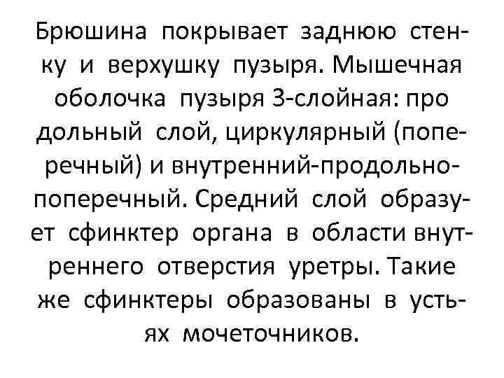 Брюшина покрывает заднюю стенку и верхушку пузыря. Мышечная оболочка пузыря 3 -слойная: про дольный