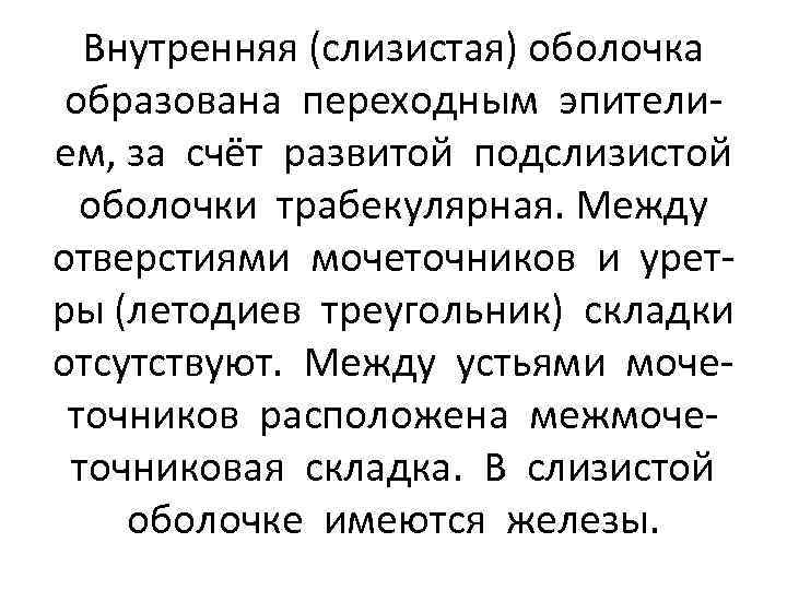 Внутренняя (слизистая) оболочка образована переходным эпителием, за счёт развитой подслизистой оболочки трабекулярная. Между отверстиями