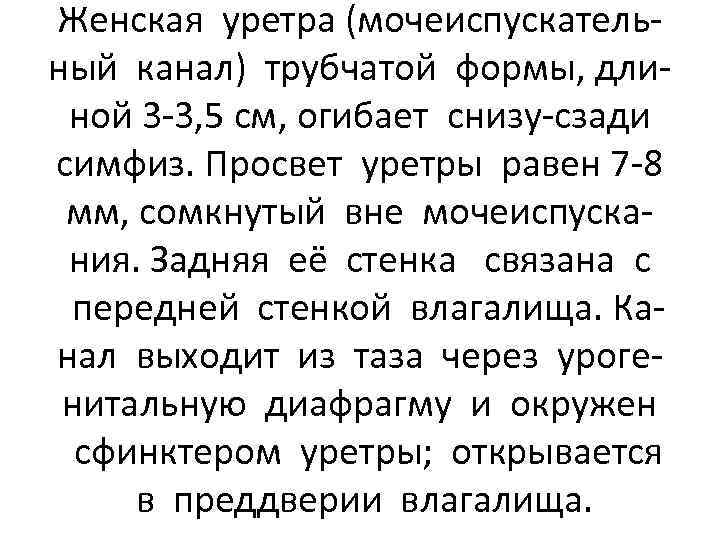 Женская уретра (мочеиспускательный канал) трубчатой формы, длиной 3 -3, 5 см, огибает снизу-сзади симфиз.