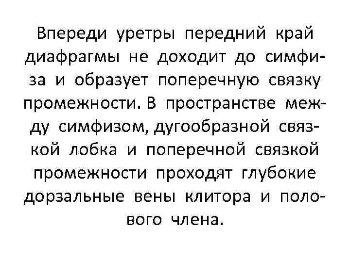 Впереди уретры передний край диафрагмы не доходит до симфиза и образует поперечную связку промежности.