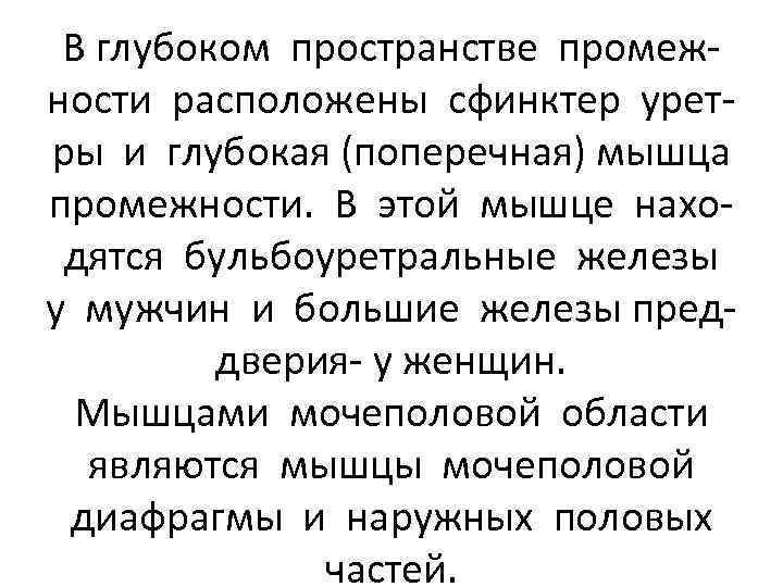 В глубоком пространстве промежности расположены сфинктер уретры и глубокая (поперечная) мышца промежности. В этой