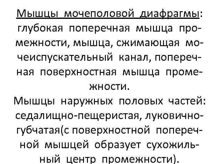 Мышцы мочеполовой диафрагмы: глубокая поперечная мышца промежности, мышца, сжимающая мочеиспускательный канал, поперечная поверхностная мышца