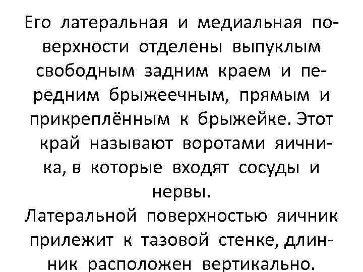 Его латеральная и медиальная поверхности отделены выпуклым свободным задним краем и передним брыжеечным, прямым