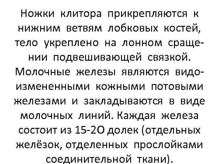 Ножки клитора прикрепляются к нижним ветвям лобковых костей, тело укреплено на лонном сращении подвешивающей