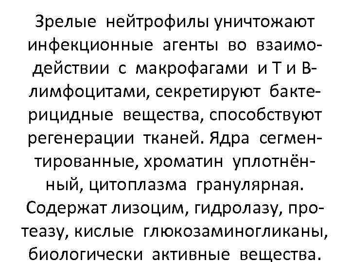 Зрелые нейтрофилы уничтожают инфекционные агенты во взаимодействии с макрофагами и Т и Влимфоцитами, секретируют