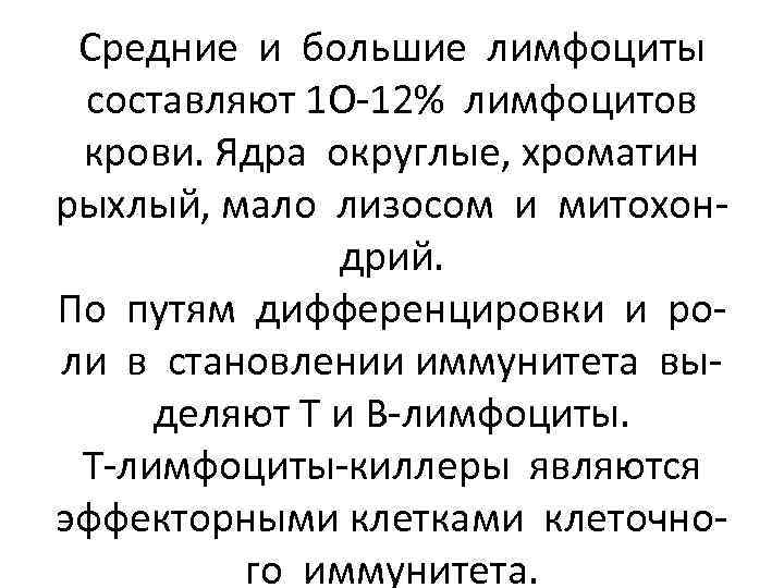 Средние и большие лимфоциты составляют 1 О-12% лимфоцитов крови. Ядра округлые, хроматин рыхлый, мало