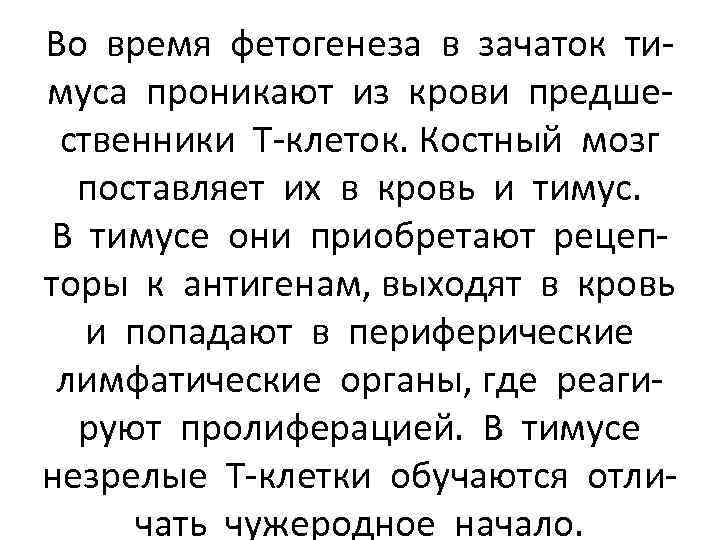 Во время фетогенеза в зачаток тимуса проникают из крови предшественники Т-клеток. Костный мозг поставляет