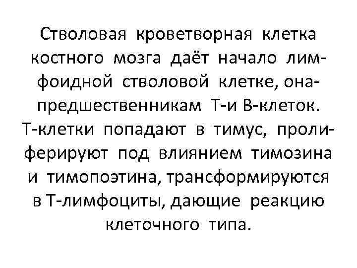Стволовая кроветворная клетка костного мозга даёт начало лимфоидной стволовой клетке, онапредшественникам Т-и В-клеток. Т-клетки