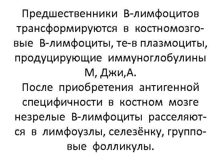 Предшественники В-лимфоцитов трансформируются в костномозговые В-лимфоциты, те-в плазмоциты, продуцирующие иммуноглобулины М, Джи, А. После