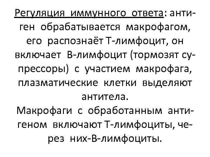 Регуляция иммунного ответа: антиген обрабатывается макрофагом, его распознаёт Т-лимфоцит, он включает В-лимфоцит (тормозят супрессоры)