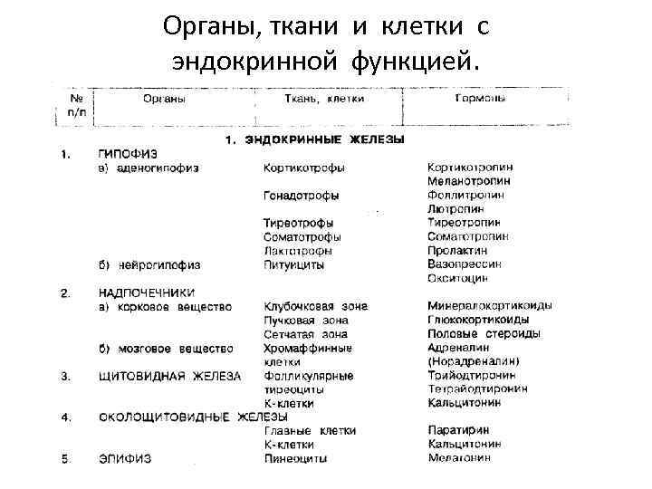 Органы, ткани и клетки с эндокринной функцией. 