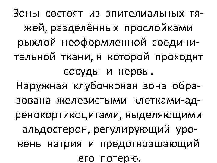 Зоны состоят из эпителиальных тяжей, разделённых прослойками рыхлой неоформленной соединительной ткани, в которой проходят