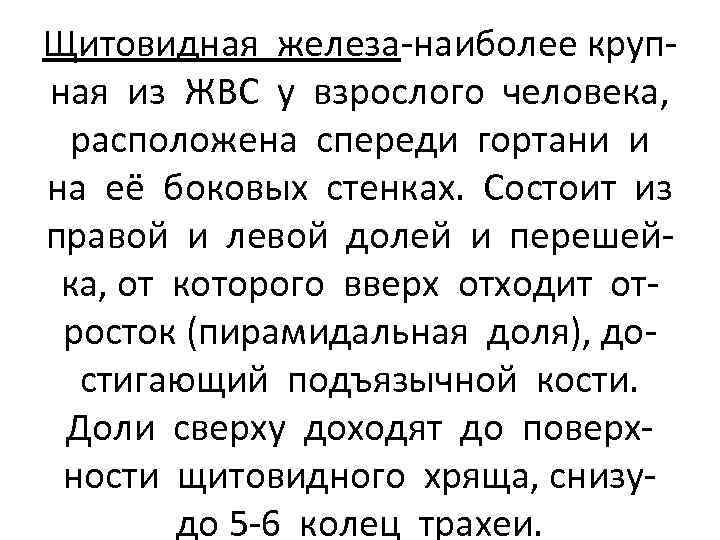 Щитовидная железа-наиболее крупная из ЖВС у взрослого человека, расположена спереди гортани и на её