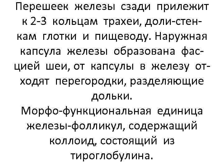 Перешеек железы сзади прилежит к 2 -3 кольцам трахеи, доли-стенкам глотки и пищеводу. Наружная