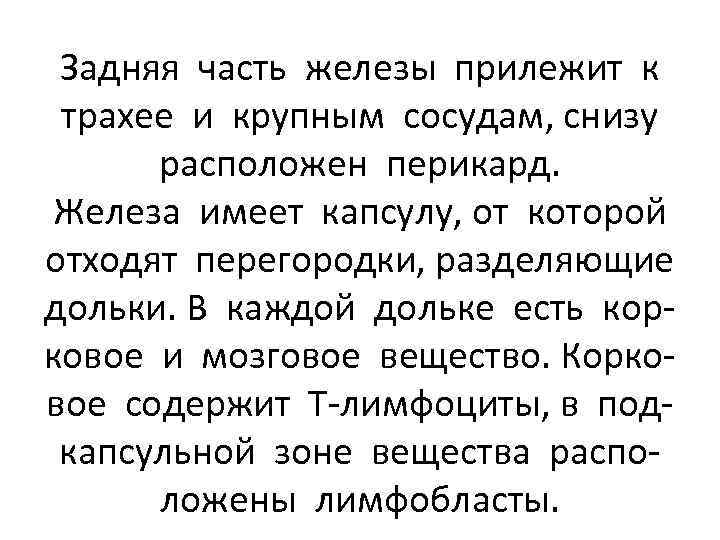 Задняя часть железы прилежит к трахее и крупным сосудам, снизу расположен перикард. Железа имеет