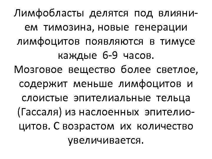 Лимфобласты делятся под влиянием тимозина, новые генерации лимфоцитов появляются в тимусе каждые 6 -9