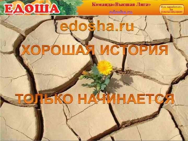 Команда «Высшая Лига» 