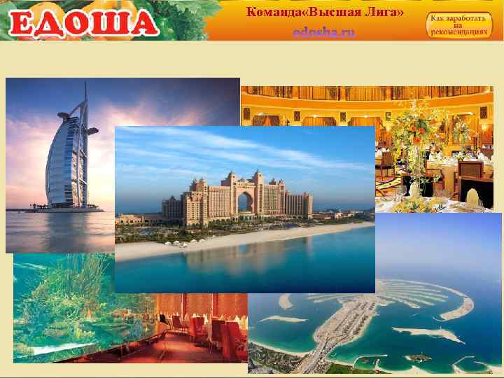 Команда «Высшая Лига» 