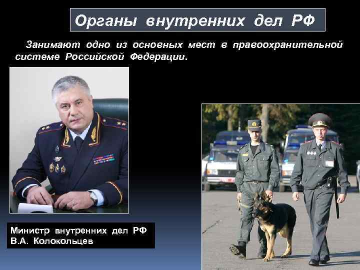 Органы внутренних дел РФ Занимают одно из основных мест в правоохранительной системе Российской Федерации.