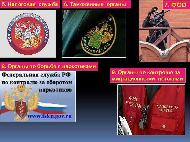 5. Налоговая служба 6. Таможенные органы 7. ФСО 8. Органы по борьбе с наркотиками
