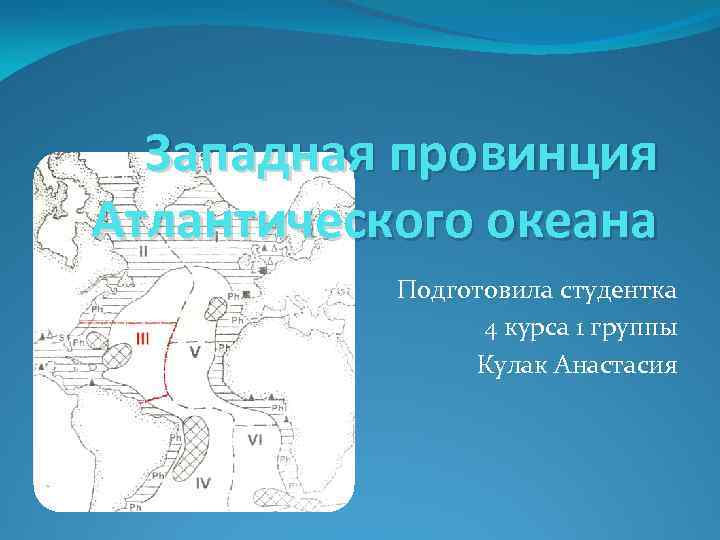 Западная провинция Атлантического океана Подготовила студентка 4 курса 1 группы Кулак Анастасия 