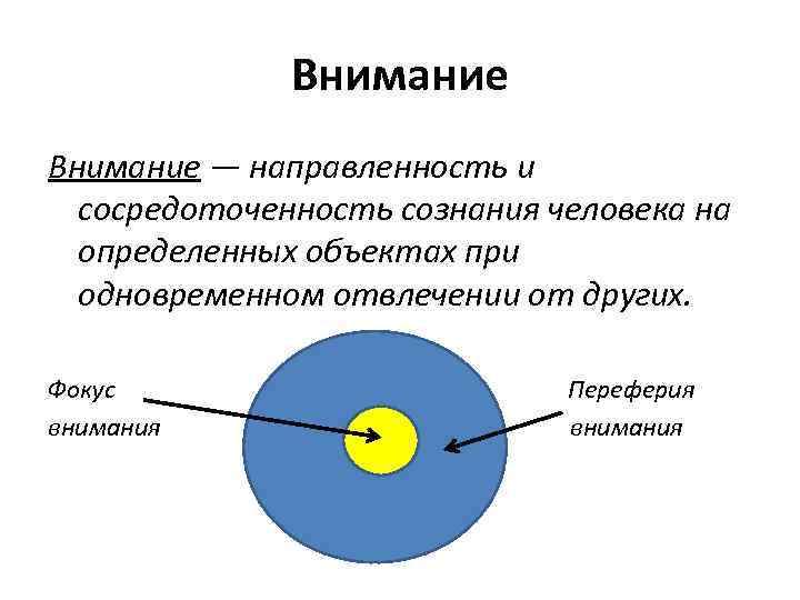 Фокус внимания картинки