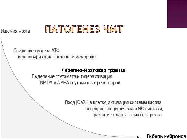 черепно-мозговая травма 