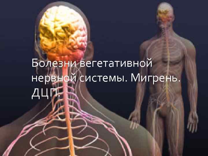 Болезни вегетативной нервной системы. Мигрень. ДЦП. 
