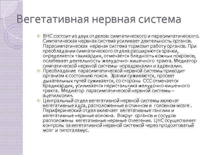  Вегетативная нервная система ВНС состоит из двух отделов: симпатического и парасимпатического. Симпатическая нервная