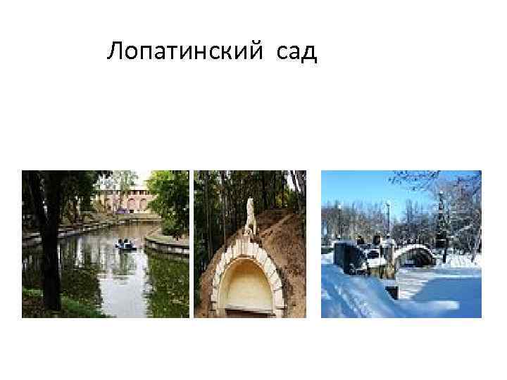 Лопатинский сад 
