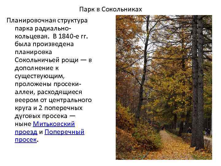 Парк в Сокольниках Планировочная структура парка радиальнокольцевая. В 1840 -е гг. была произведена планировка