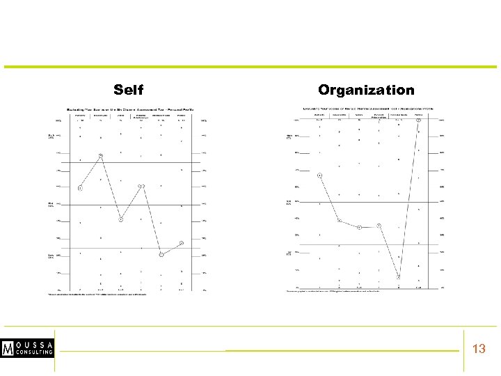 Self Organization 13 