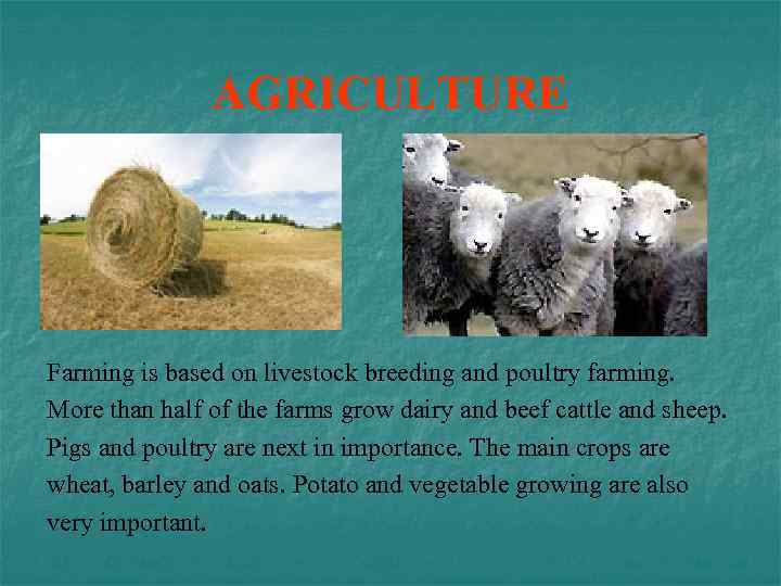 AGRICULTURE Farming is based on livestock breeding and poultry farming. More than half of
