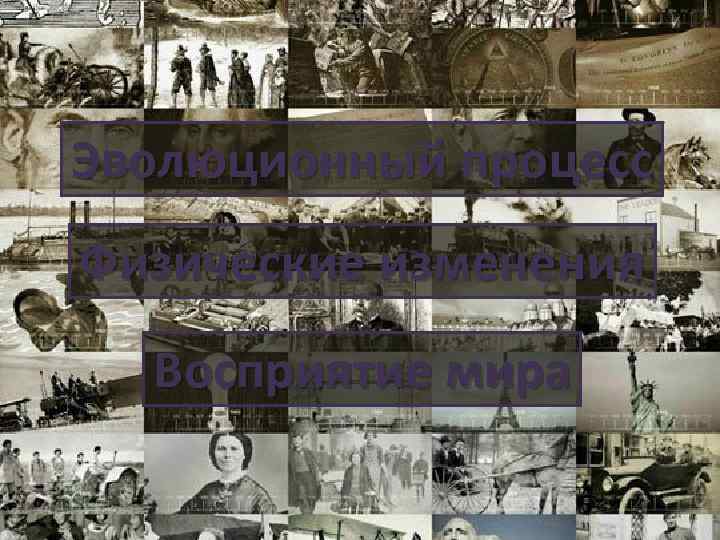 Эволюционный процесс Физические изменения Восприятие мира 