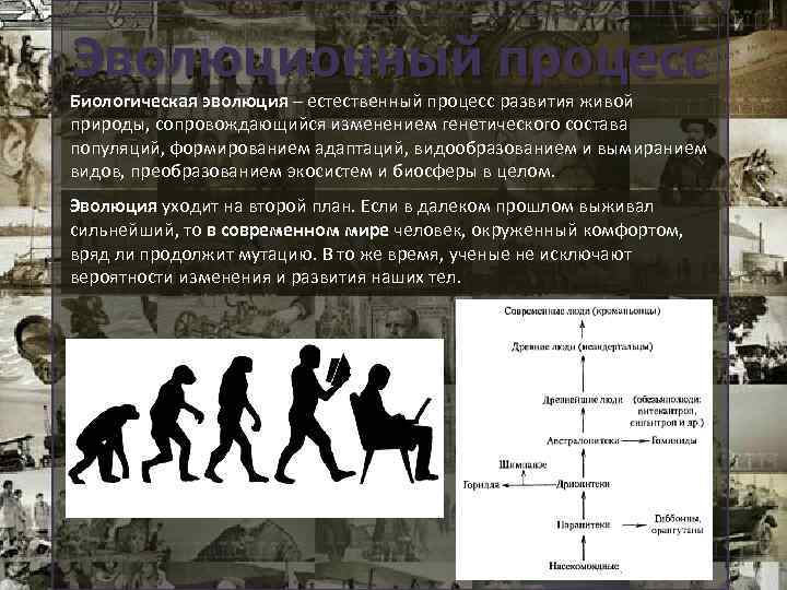 Изменение в восприятии картины мира русским человеком в 17 веке краткое содержание