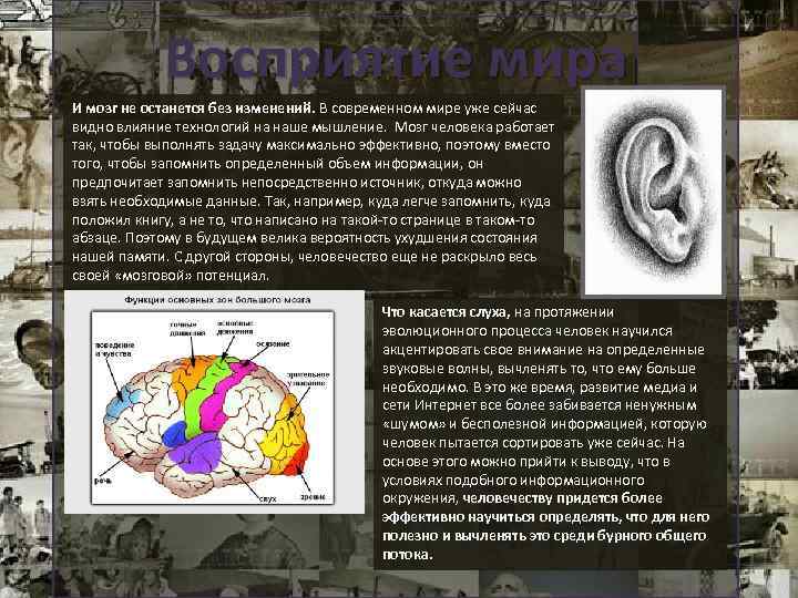 Восприятие мира И мозг не останется без изменений. В современном мире уже сейчас видно