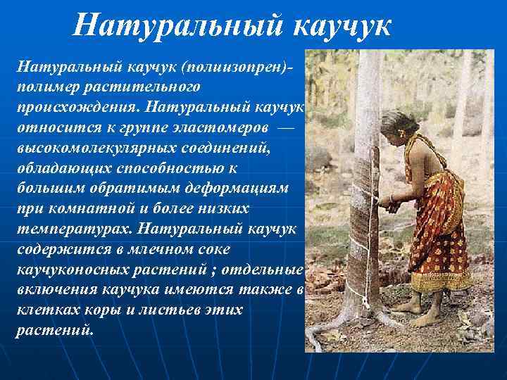 Натуральный каучук (полиизопрен)- полимер растительного происхождения. Натуральный каучук относится к группе эластомеров — высокомолекулярных