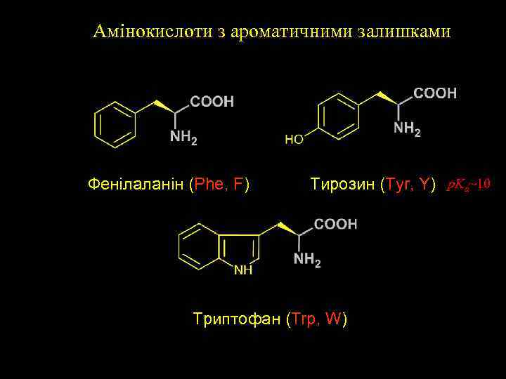 Aмінокислоти з ароматичними залишками Фенілаланін (Phe, F) Тирозин (Tyr, Y) p. Ka~10 Триптофан (Trp,